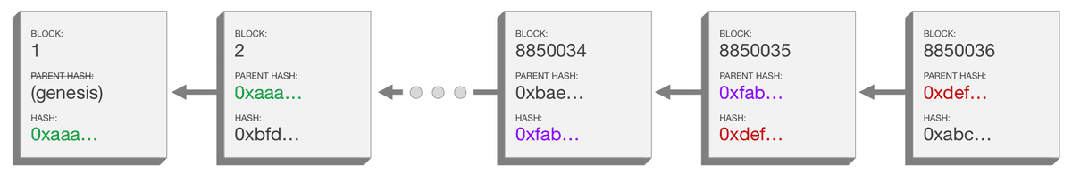 A diagram depicting a blockchain including the data inside  each block